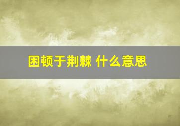 困顿于荆棘 什么意思